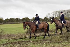 1772637285_1772637285_dsc8242