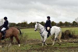 1772637290_1772637290_dsc8247