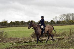 1772637291_1772637291_dsc8249