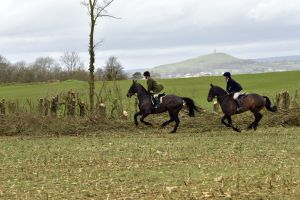 1772637293_1772637293_dsc8251