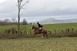 1772637294_1772637294_dsc8253