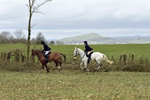 1772637299_1772637299_dsc8258