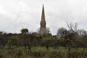 1772637300_1772637300_dsc8263