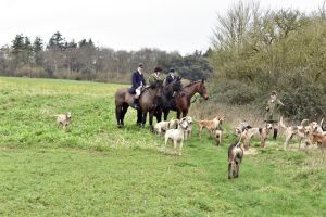 1772637305_1772637305_dsc8272