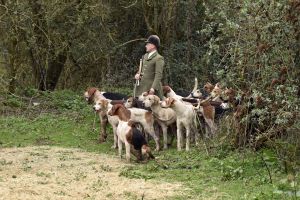 1772637307_1772637307_dsc8275