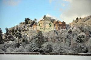 1771329264_1771329264_landscape-03