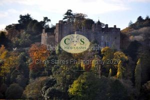 1771329265_1771329265_landscapes001