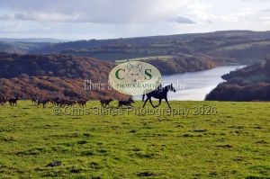 1771329270_1771329270_landscapes006