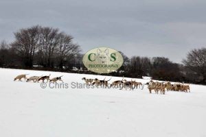 1771329273_1771329273_snow-images001