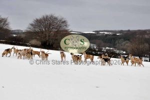 1771329274_1771329274_snow-images002