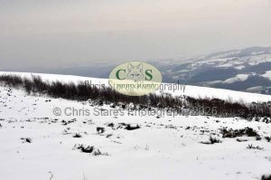 1771329278_1771329278_snow-images005