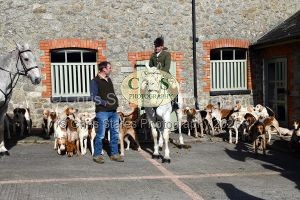 1771320816_1_dsc-1128