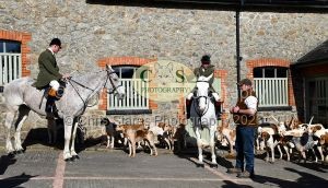 1771320829_13_dsc-1154