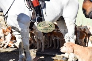 1771320840_23_dsc-1184