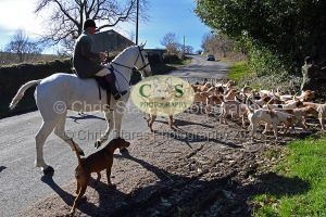 1771320848_30_dsc-1204