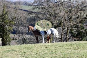 1771320985_11_dsc-1236