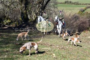 1771320988_14_dsc-1245