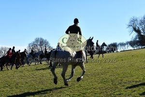 1771320990_15_dsc-1249