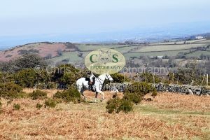 1771320993_18_dsc-1255