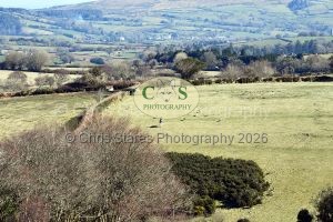 1771320996_21_dsc-1262