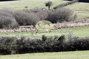 1771321001_25_dsc-1267