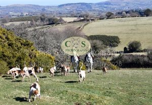 1771321002_26_dsc-1277