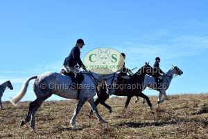 1771321006_29_dsc-1285