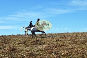 1771321007_30_dsc-1287