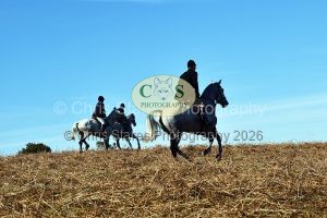 1771321008_31_dsc-1288