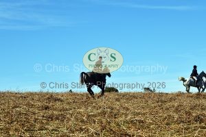 1771321009_32_dsc-1290