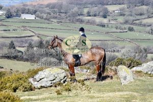 1771321011_34_dsc-1293