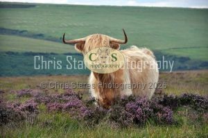 1771328952_1771328952_dsc-0256