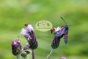 1771328963_1771328963_p1030145