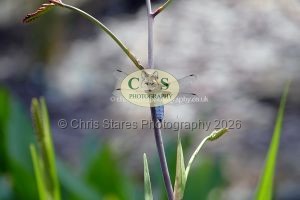 1771328968_1771328968_p1710271