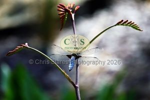 1771328969_1771328969_p1710286