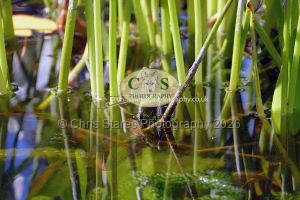 1771328971_1771328971_p1710318