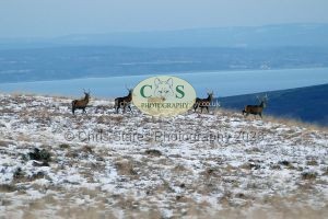 1771328978_1771328978_p1730236