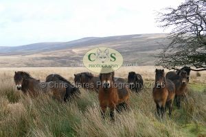 1771328981_1771328981_p1730348