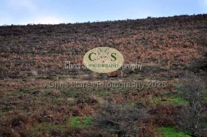 1771329002_1771329002_wildlife-006